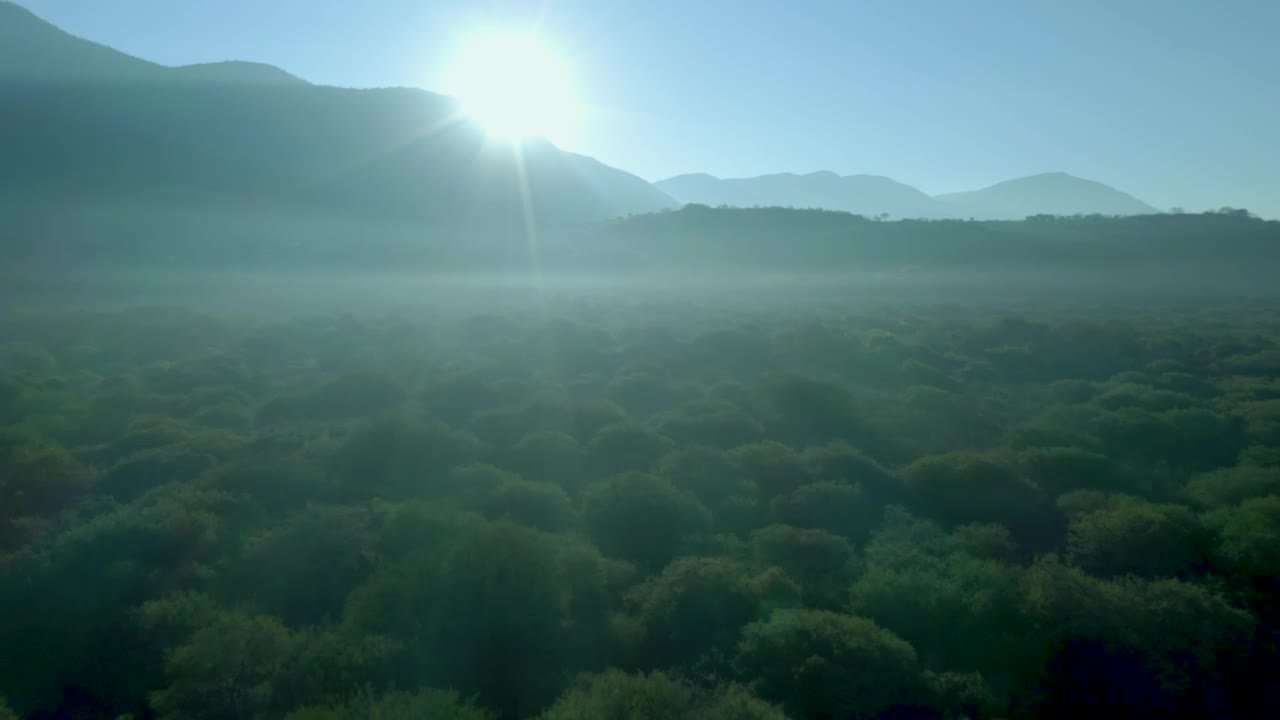 Download Stock Video Flying Over A Forest Between Mountains Live Wallpaper For PC
