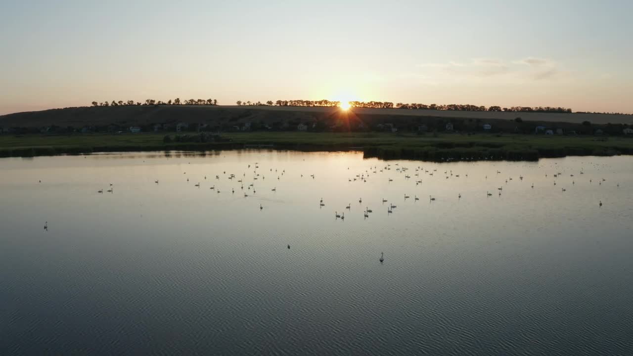 Download Stock Video Flying Over A Floodplain Live Wallpaper For PC