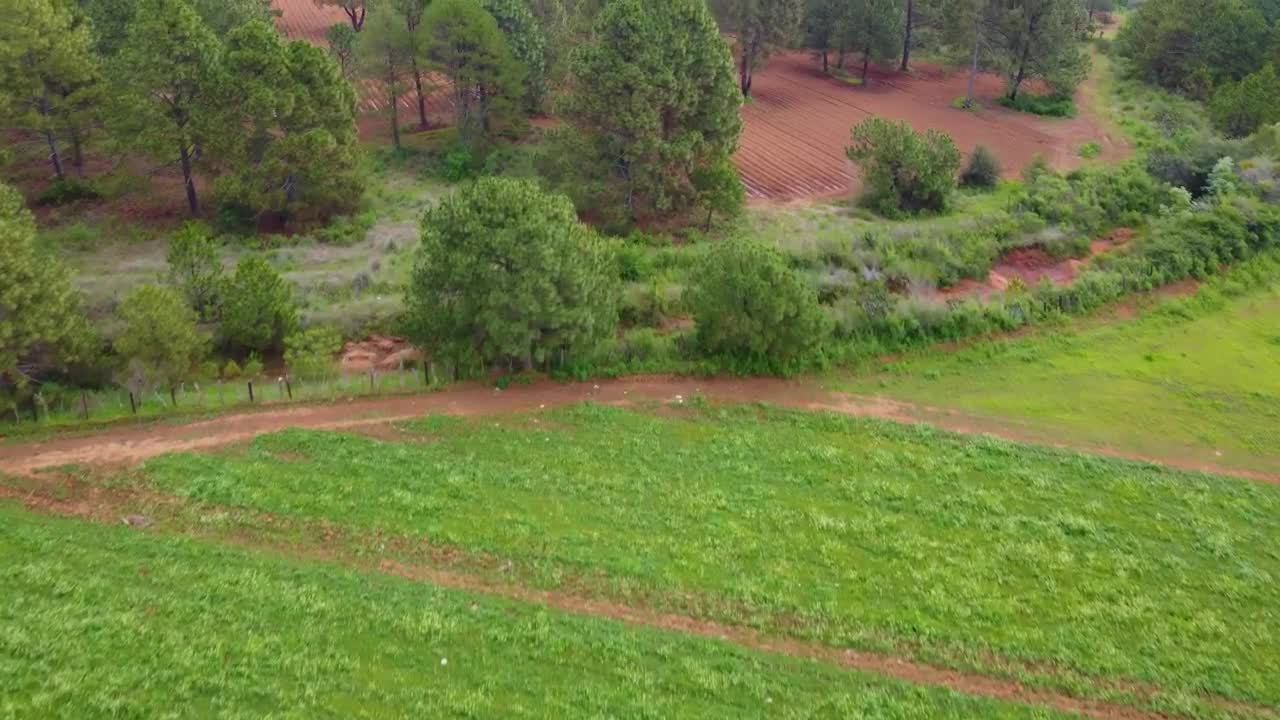 Download Stock Video Flying Over A Field In A Large Forest Covered With Live Wallpaper For PC