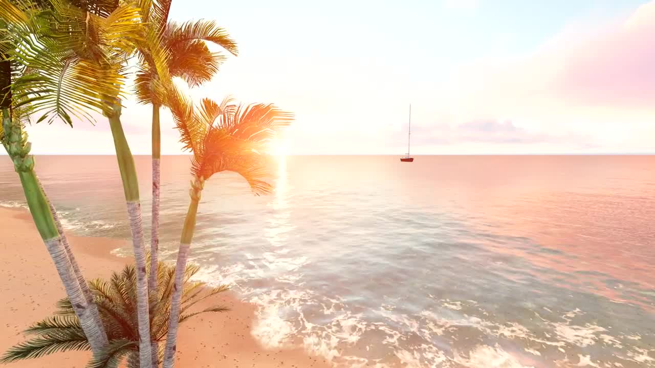 Download Stock Video Flying Over A Beach With A Palm Tree And A Live Wallpaper For PC