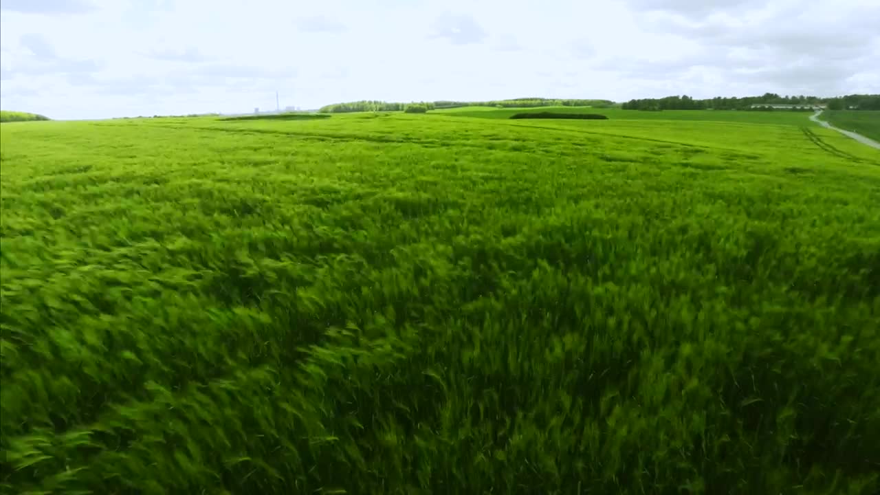 Download Stock Video Flying Fast Over Grass Live Wallpaper For PC