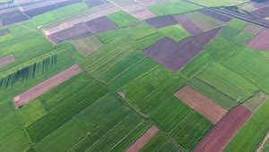 Stock Video Flying Above Agricultural Green Fields Live Wallpaper For PC