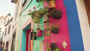 Download Stock Video Flowerpots Hanging On Colorful Walls Live Wallpaper For PC