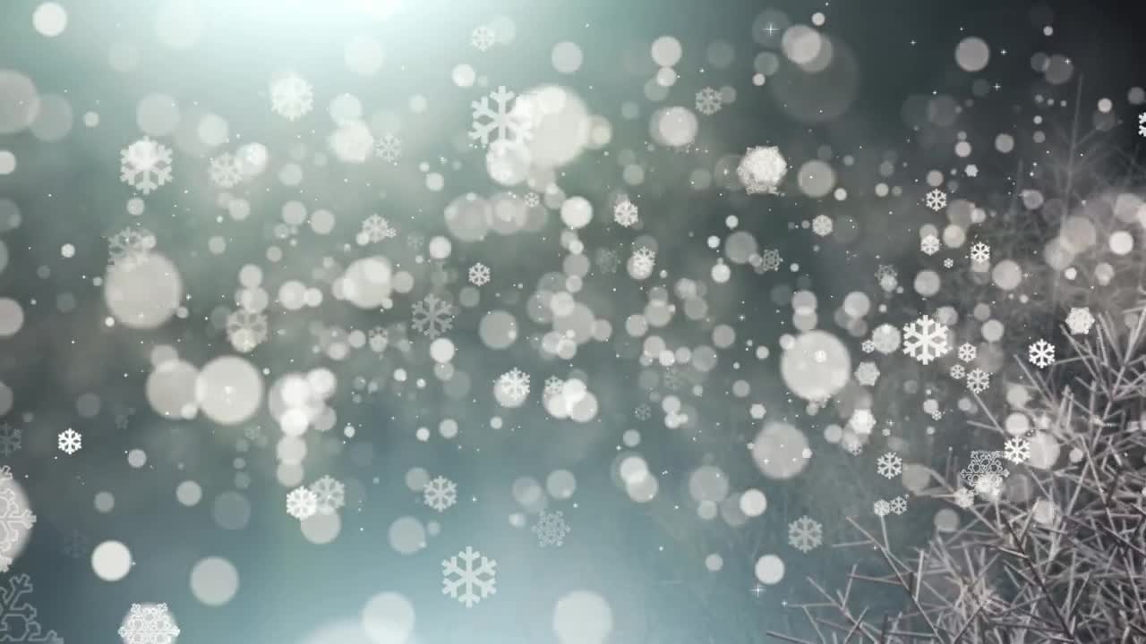 Download Stock Video Floating Snow Particles Christmas Concept Live Wallpaper For PC
