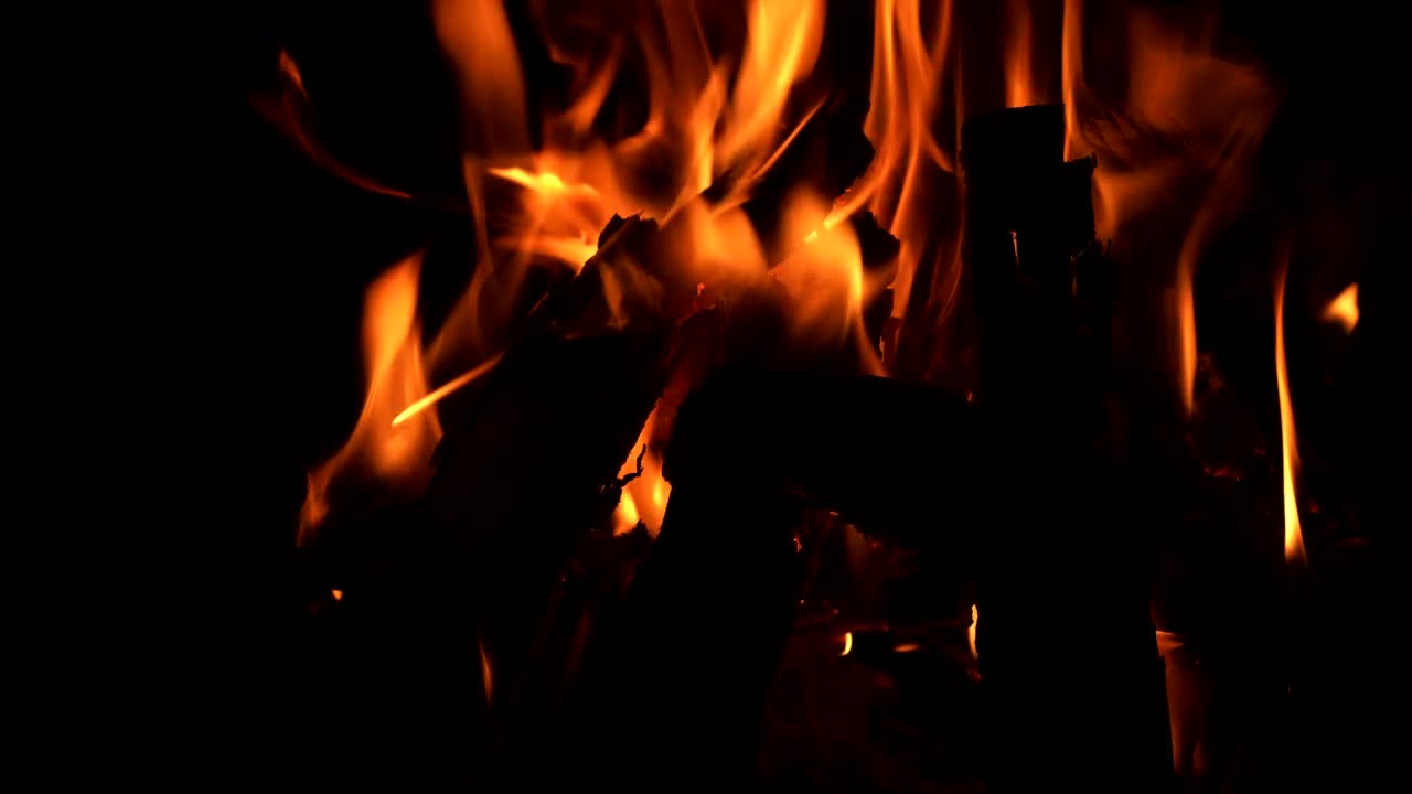 Download Stock Video Flames Burning In A Campfire In The Dark Live Wallpaper For PC