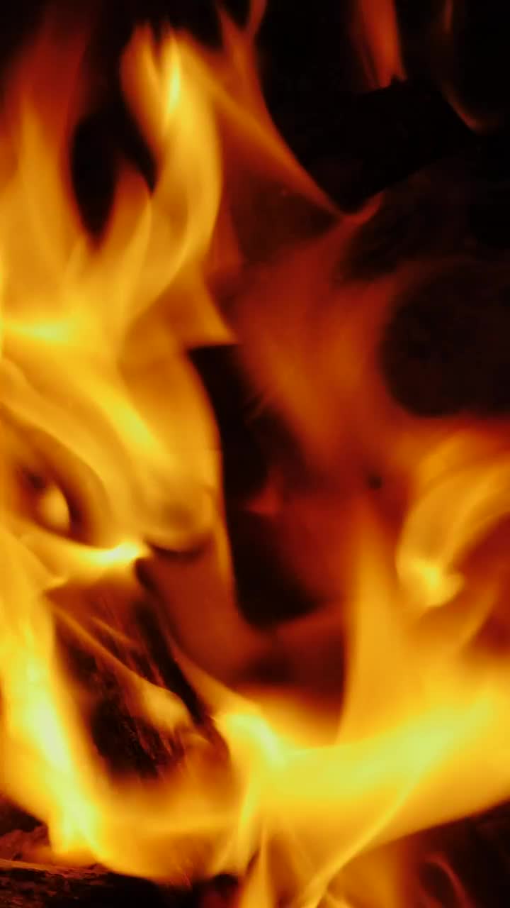 Download Stock Video Flame Burning Wood In The Dark Live Wallpaper For PC