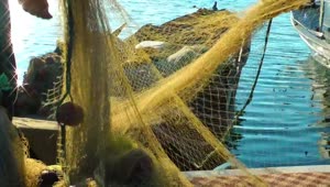 Stock Video Fishermen Collecting A Fishing Net Live Wallpaper For PC