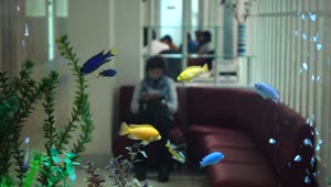 Stock Video Fish Tank In The Waiting Room Of A Hospital Live Wallpaper For PC