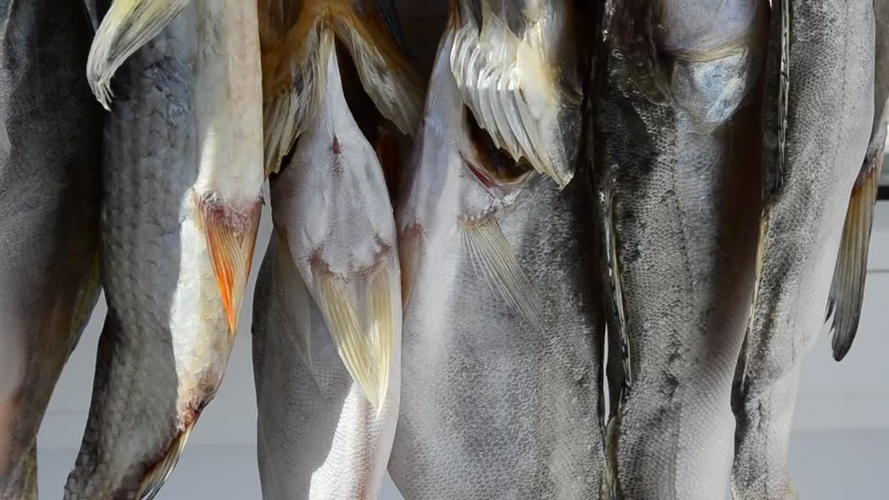 Download Stock Video Fish Hanging In A Market Live Wallpaper For PC