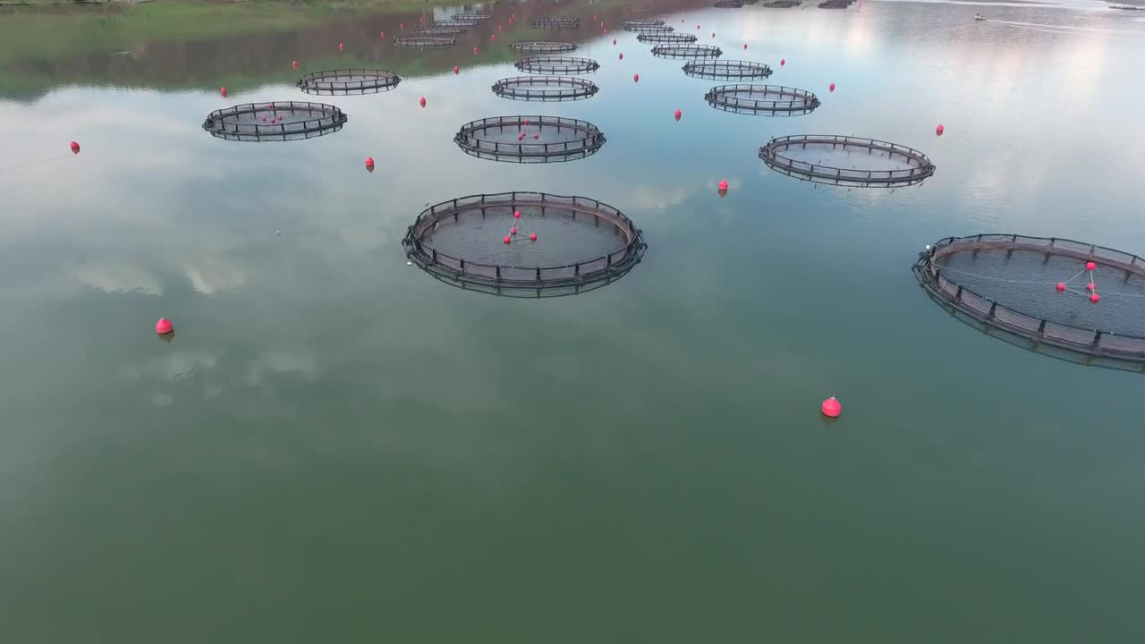 Download Stock Video Fish Farm In The Lake Live Wallpaper For PC