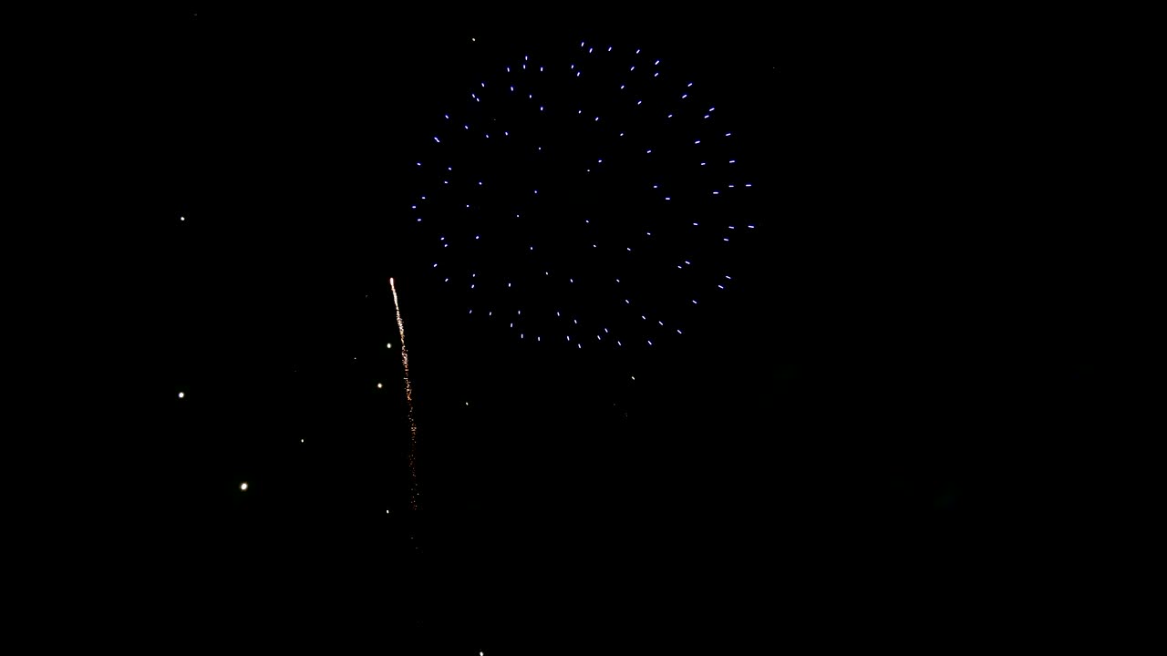 Download Stock Video Fireworks In The Night Sky Live Wallpaper For PC