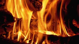 Stock Video Firewood Burning With Large Flames Live Wallpaper For PC