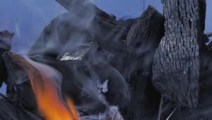 Stock Video Fire Burning Coal Close Up Live Wallpaper For PC