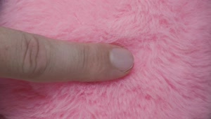 Stock Video Finger Slide Over Pink Fur Live Wallpaper For PC