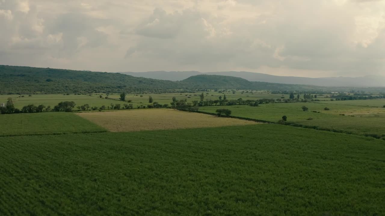 Download Stock Video Fields On A Cloudy Day Live Wallpaper For PC