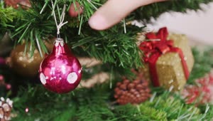 Stock Video Festive Tree Decorations Live Wallpaper For PC