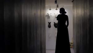 Stock Video Female Silhouette In Long Dress Live Wallpaper For PC