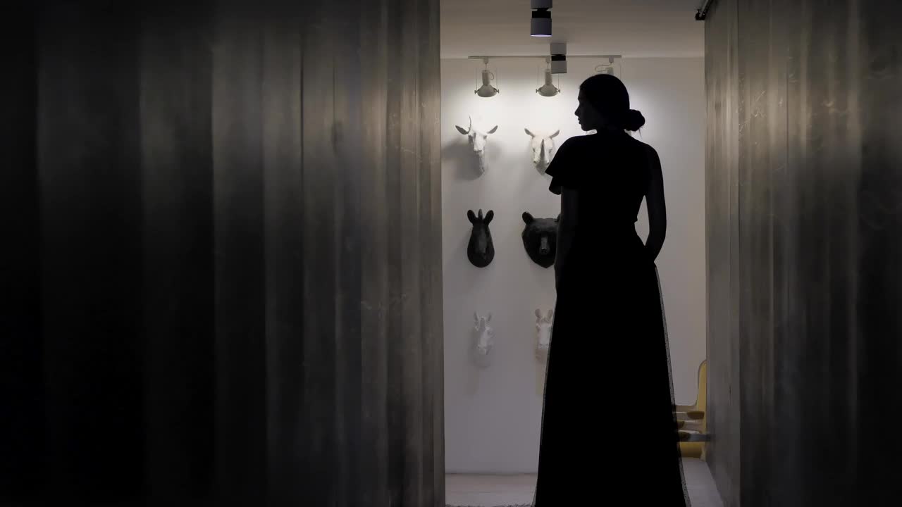 Download Stock Video Female Silhouette In Long Dress Live Wallpaper For PC