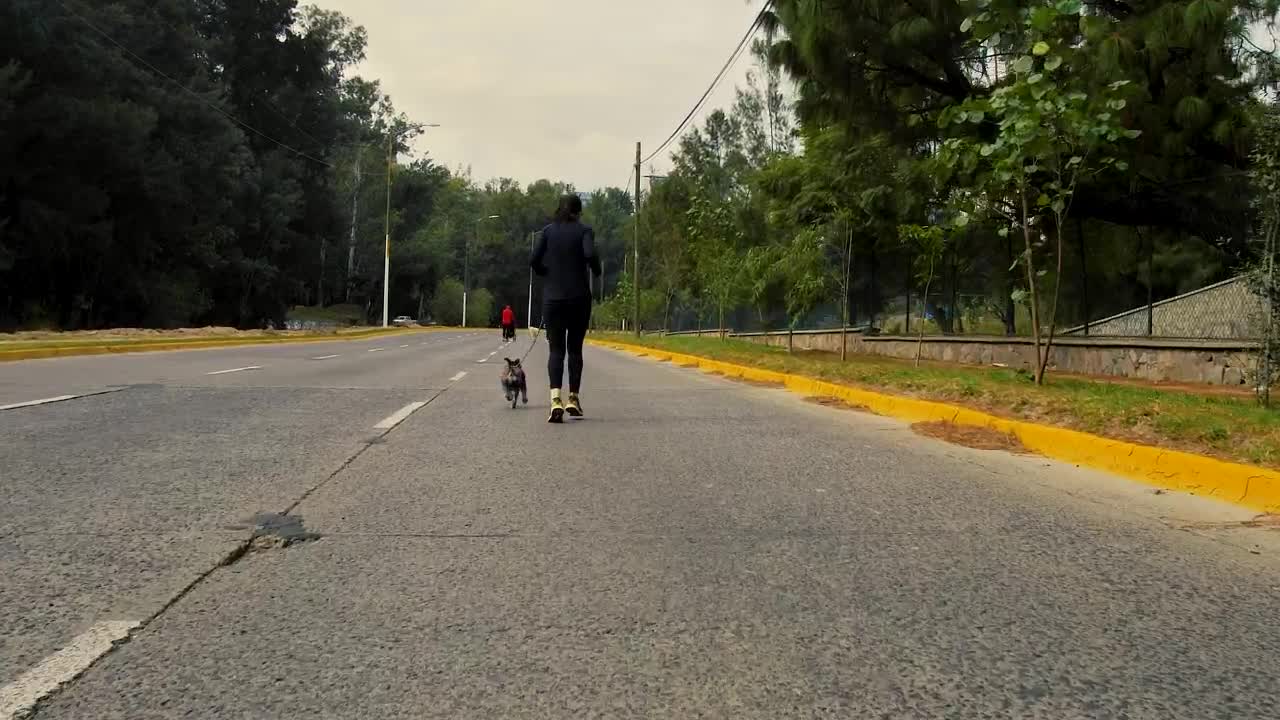 Download Stock Video Female Runner Walks Her Dog Live Wallpaper For PC