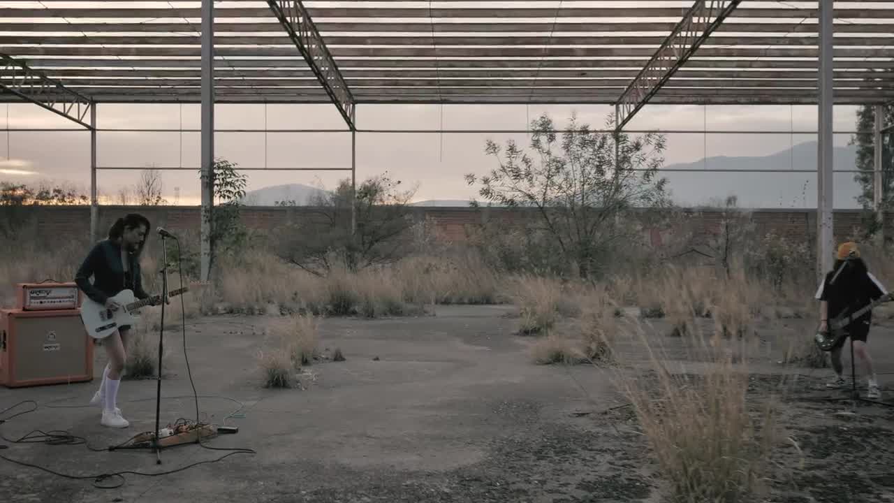 Download Stock Video Female Rock Band Playing On A Vacant Lot Live Wallpaper For PC