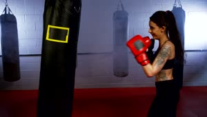 Stock Video Female Boxer Training Live Wallpaper For PC