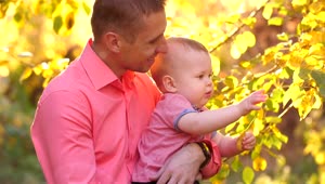 Stock Video Father Taking Care Of His Baby In A Garden Live Wallpaper For PC