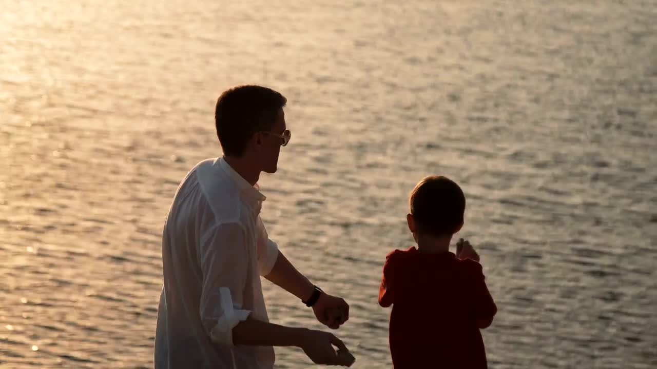 Download Stock Video Father And Son Throwing Rocks At The Lake Live Wallpaper For PC
