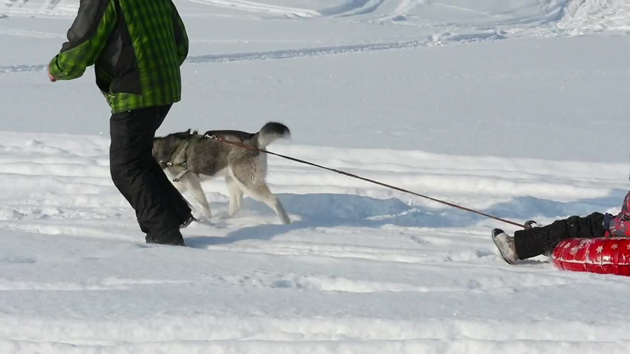 Download Stock Video Father And Son Playing In The Snow Live Wallpaper For PC