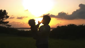 Stock Video Father And Son Playing At Sunset Live Wallpaper For PC