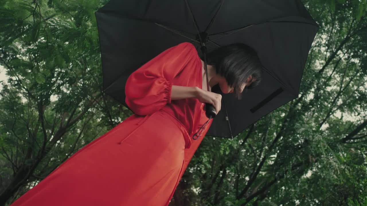 Download Stock Video Fashion Woman In Red With An Umbrella In A Forest Live Wallpaper For PC