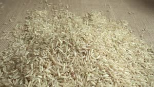Stock Video Farmer Holding Rice Live Wallpaper For PC