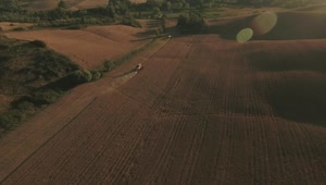 Stock Video Farmer Harvesting Crops Live Wallpaper For PC