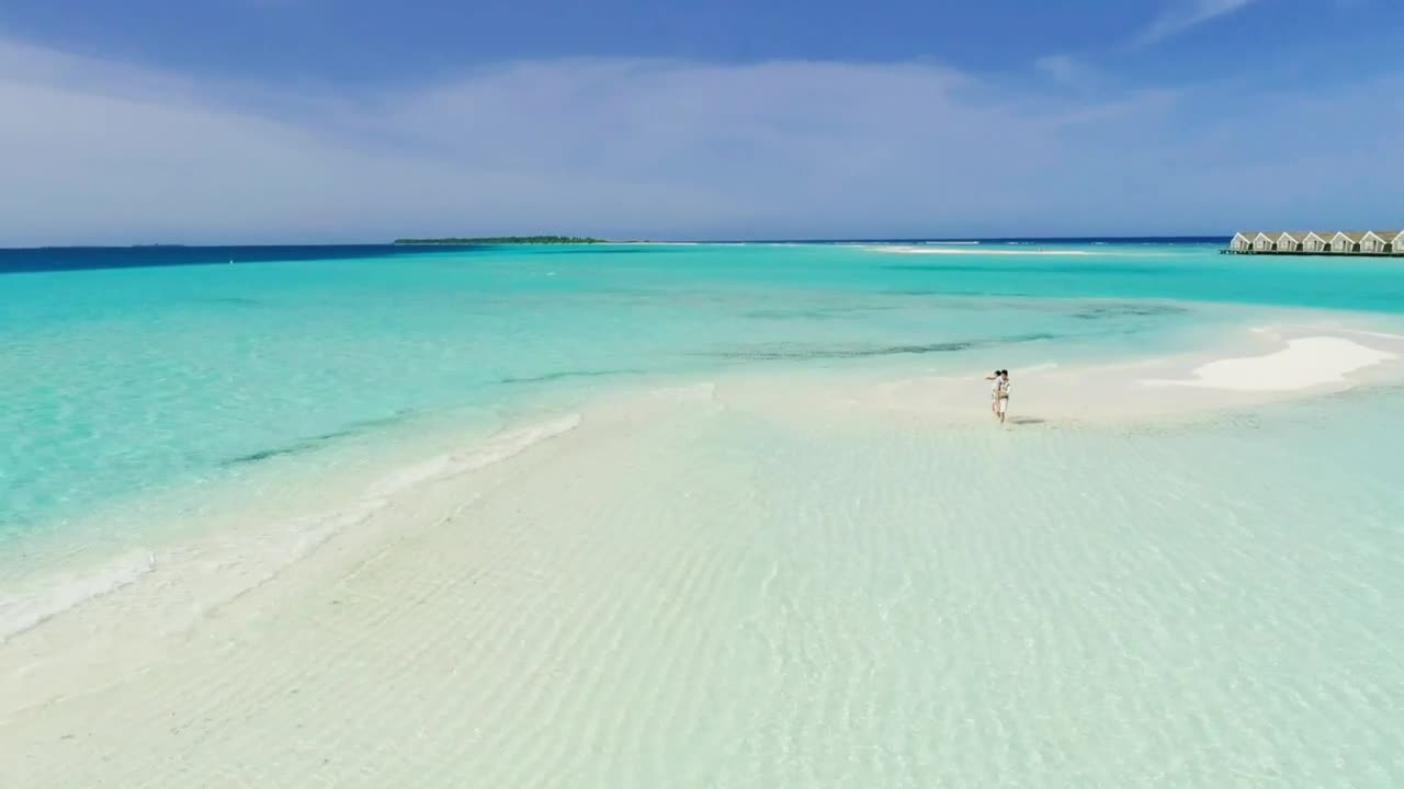 Download Stock Video Family Walking On A Beautiful Beach Live Wallpaper For PC