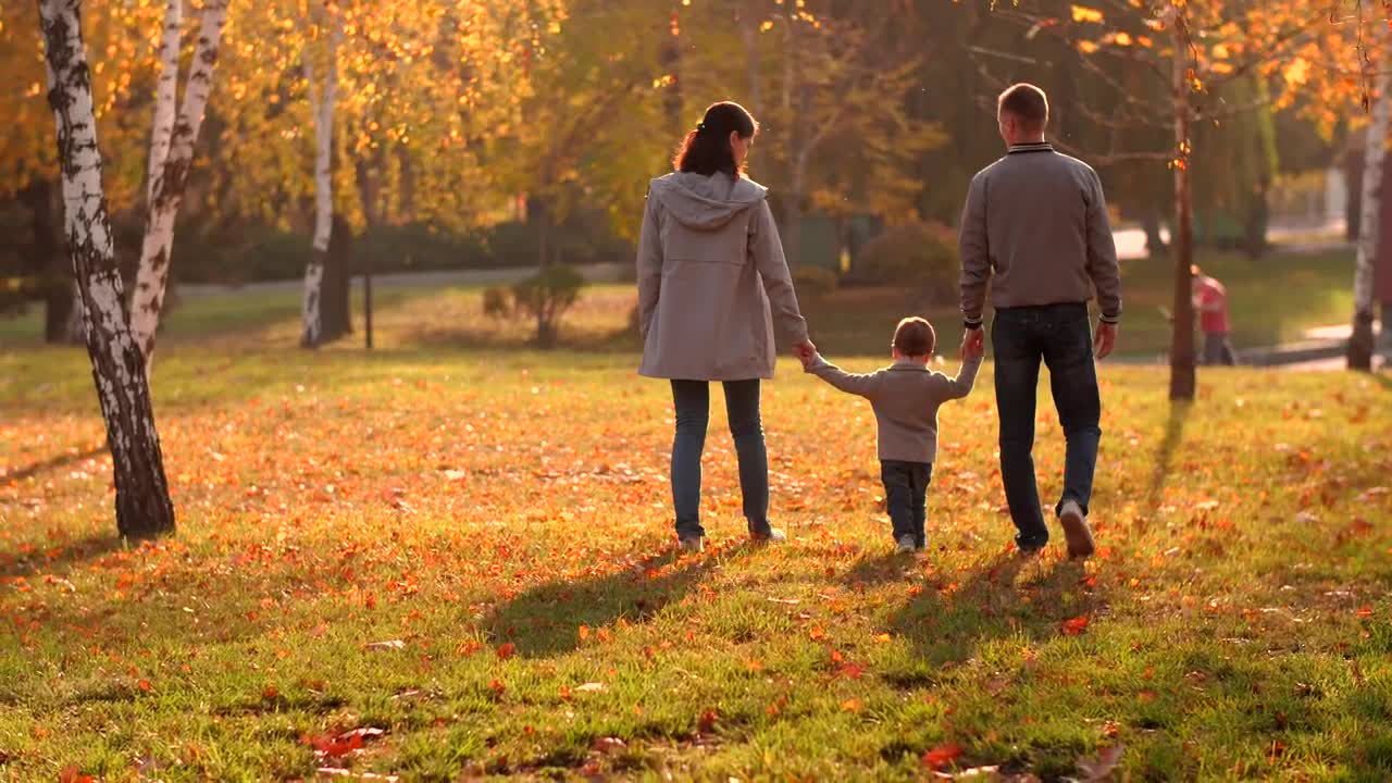 Download Stock Video Family Walking In The Park Full Shot Live Wallpaper For PC