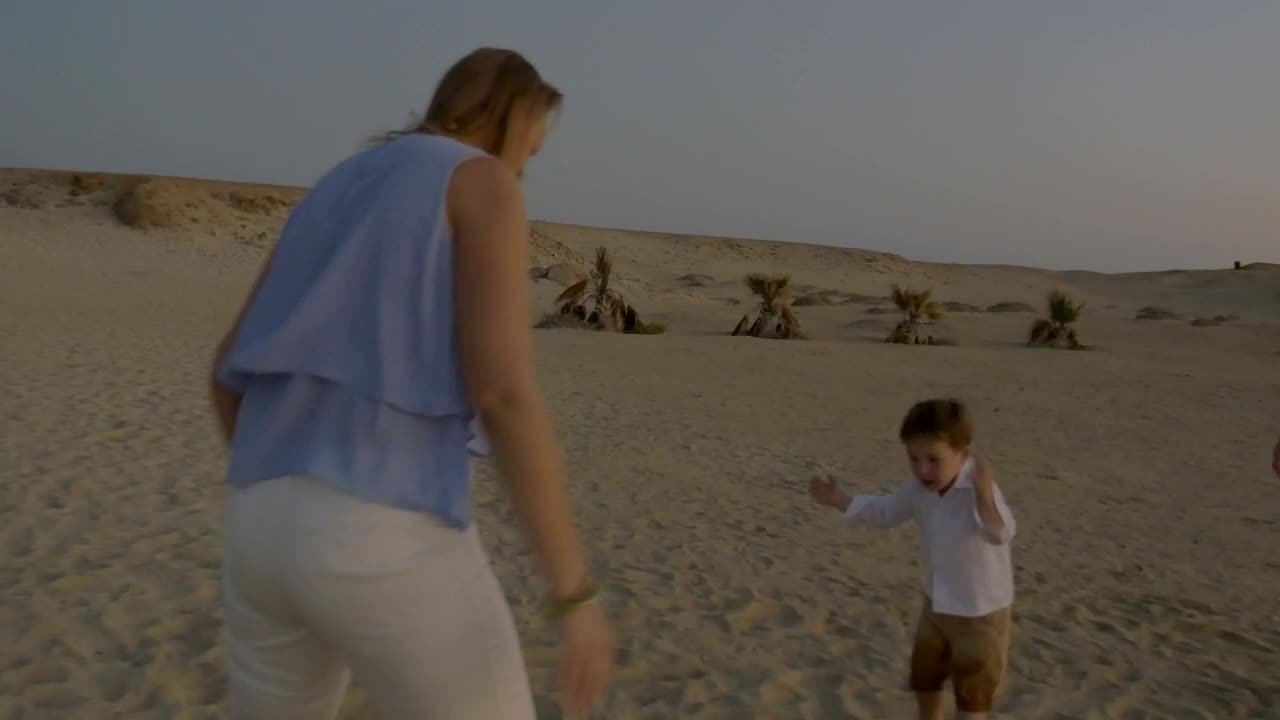 Download Stock Video Family Playing Together On The Beach Live Wallpaper For PC