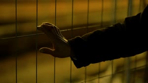Stock Video Hand On A Wire Fence By Night Live Wallpaper For PC