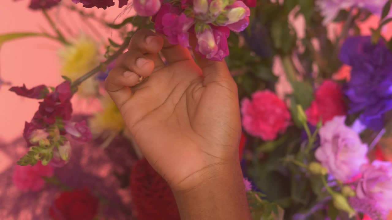 Download Stock Video Hand Of An Lgbtq Man Stroking Flowers Live Wallpaper For PC