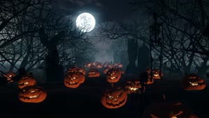Stock Video Halloween Pumpkins Over Graveyard Graves Live Wallpaper For PC