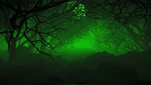 Stock Video Halloween Forest Full Of Branches And Green Mist Live Wallpaper For PC