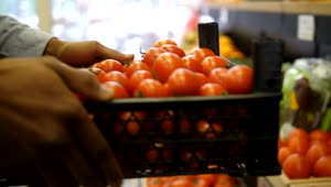 Stock Video Grocery Store Worker Carrying Food Live Wallpaper For PC
