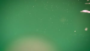 Stock Video Green Substance With Shiny Bubbles Close Up View Live Wallpaper For PC