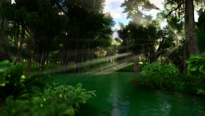 Stock Video Green River In A Forest D Animation Live Wallpaper For PC