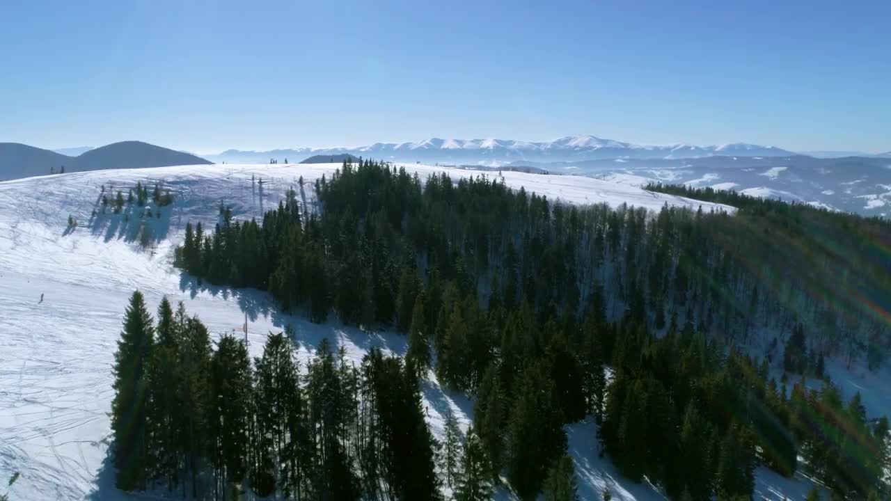 Download Stock Video Green Pine Trees In A Snow Covered Mountain Live Wallpaper For PC