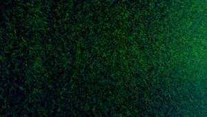 Stock Video Green Grass Texture In Motion Live Wallpaper For PC