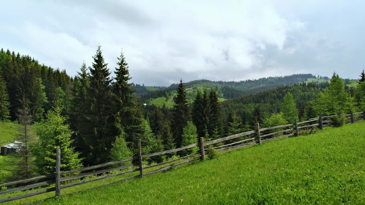 Download Stock Video Green Forest Near A Farm Live Wallpaper For PC