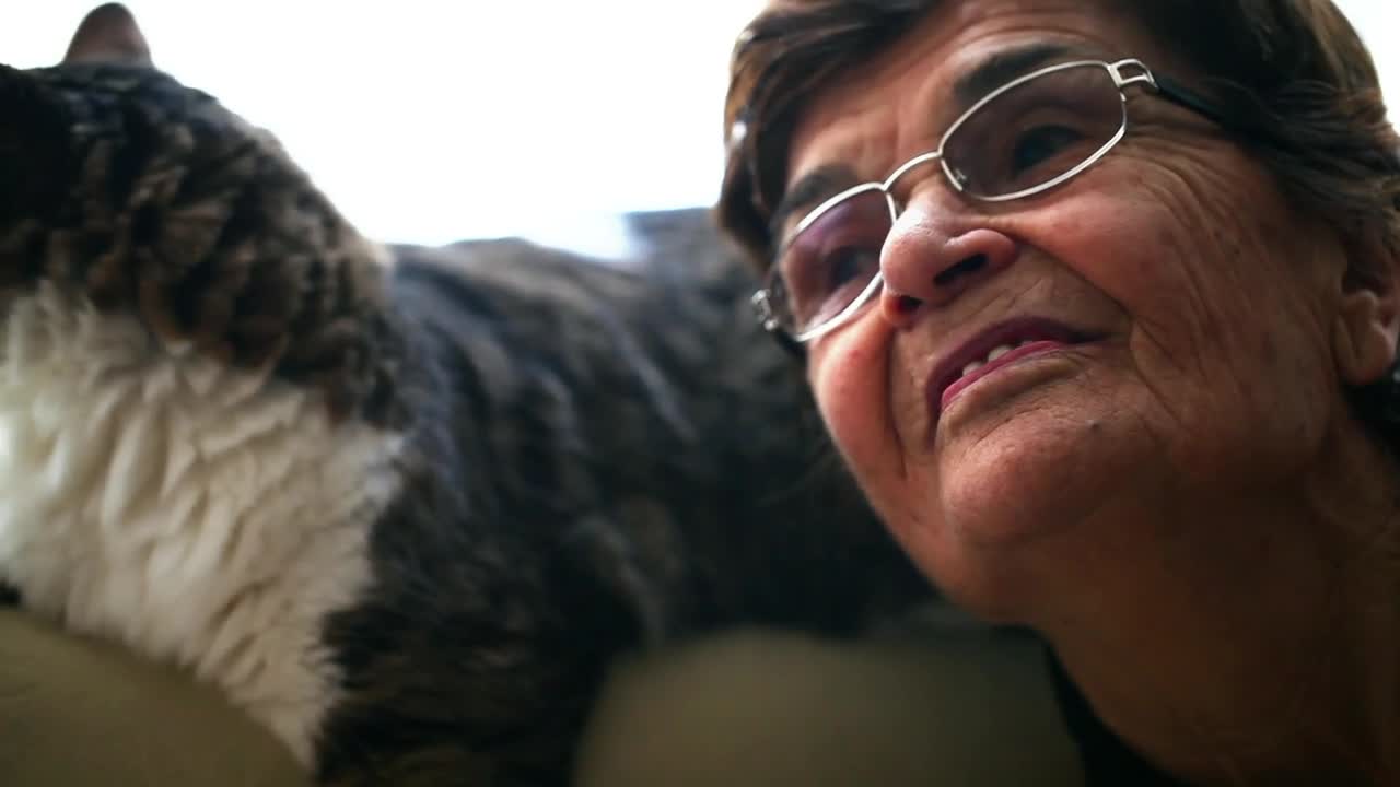 Download Stock Video Grandmother Chatting With Her Cat Live Wallpaper For PC