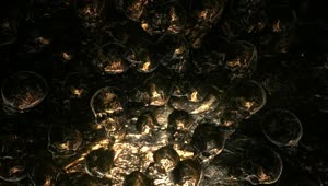 Stock Video Golden Surface With Skulls Animation Live Wallpaper For PC