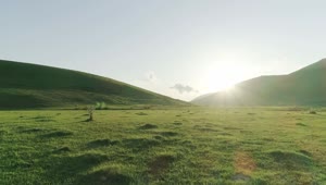 Stock Video Golden Sunshine Over A Meadow Live Wallpaper For PC