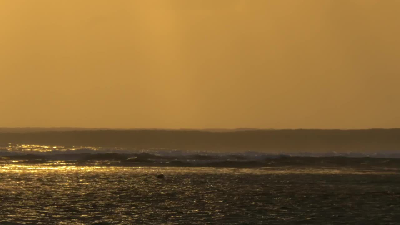 Download Stock Video Golden Sunset And Tall Waves Live Wallpaper For PC