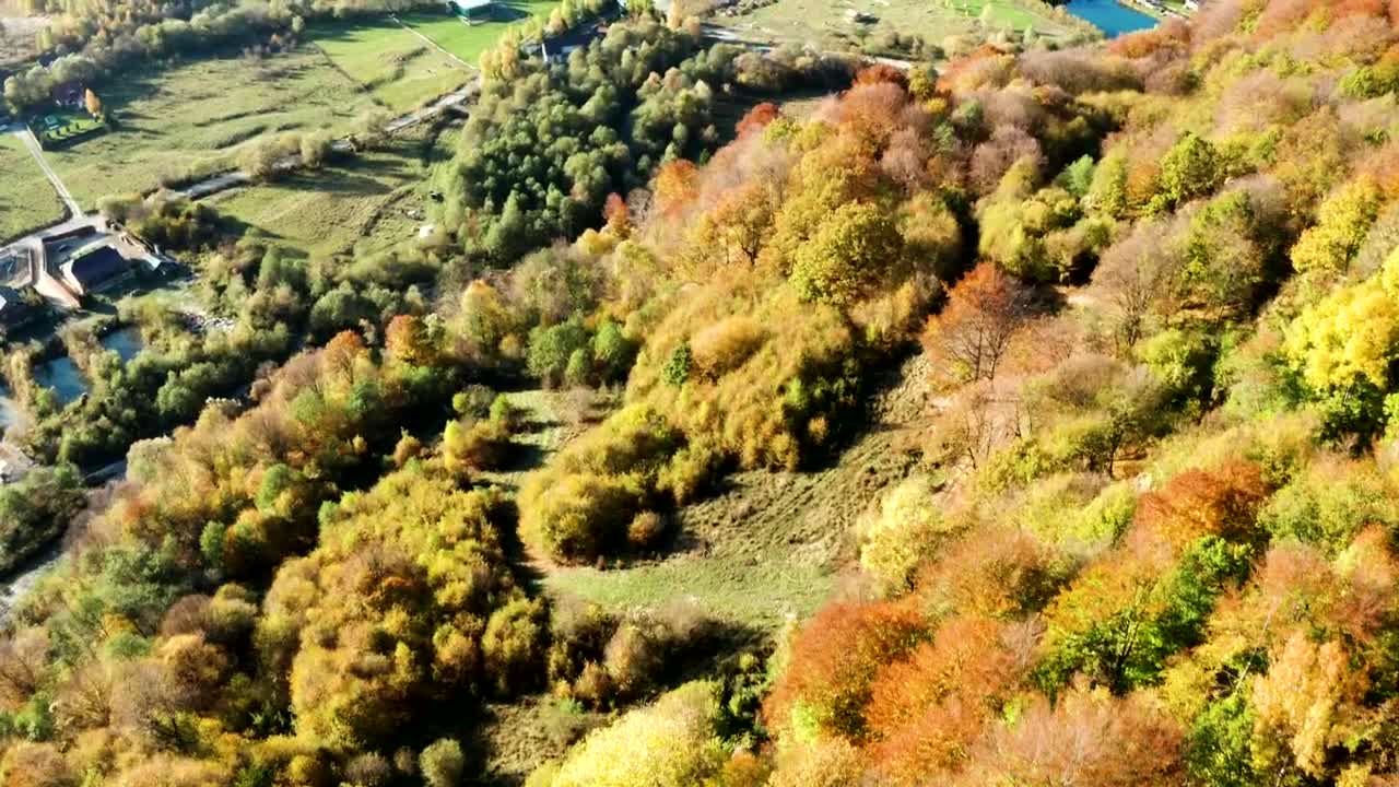 Download Stock Video Golden Forests And Green Fields Live Wallpaper For PC